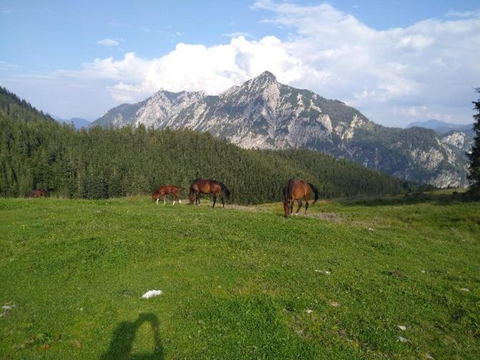 Mountainlove Strobl Luaran gambar
